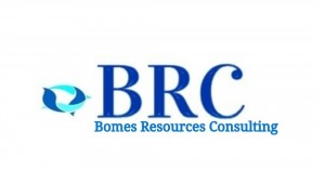 Bomes Resources Consulting